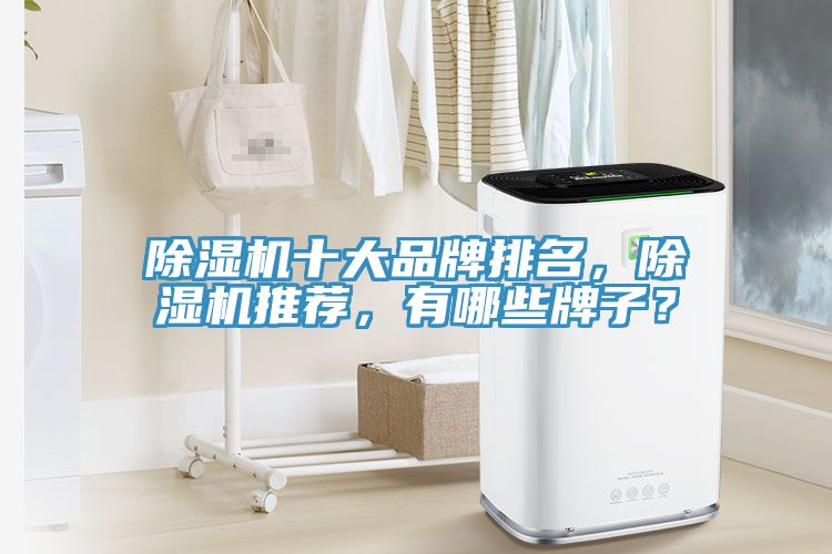 91香蕉视频下载网站十大品牌排名，91香蕉视频下载网站推荐，有哪些牌子？