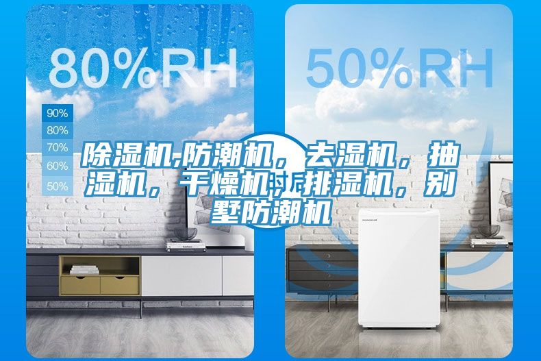 91香蕉视频下载网站,防潮机，去湿机，抽湿机，干燥机，排湿机，别墅防潮机