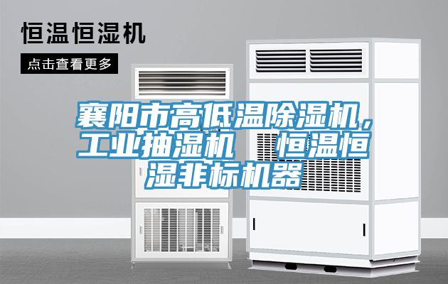 襄阳市高低温91香蕉视频下载网站，工业抽湿机  恒温恒湿非标机器