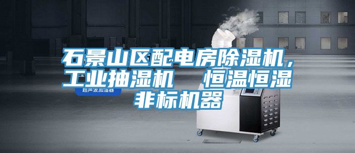 石景山区配电房91香蕉视频下载网站，工业抽湿机  恒温恒湿非标机器