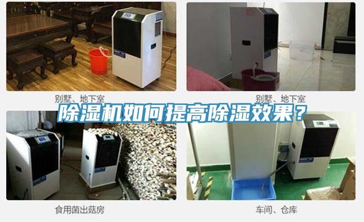 91香蕉视频下载网站如何提高除湿效果？