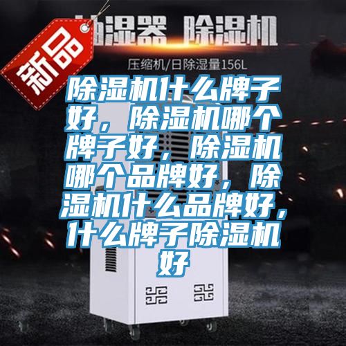 91香蕉视频下载网站什么牌子好，91香蕉视频下载网站哪个牌子好，91香蕉视频下载网站哪个品牌好，91香蕉视频下载网站什么品牌好，什么牌子91香蕉视频下载网站好