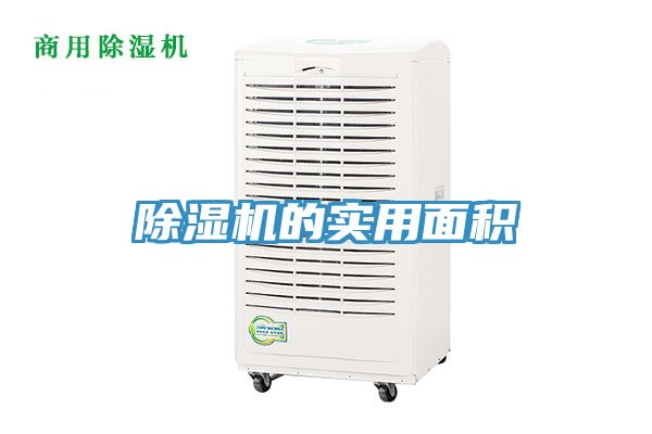 91香蕉视频下载网站的实用面积