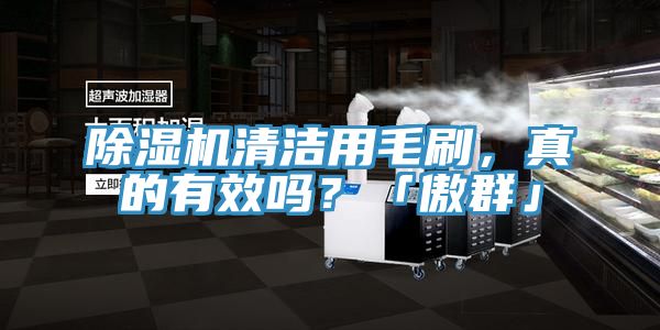 91香蕉视频下载网站清洁用毛刷，真的有效吗？「傲群」