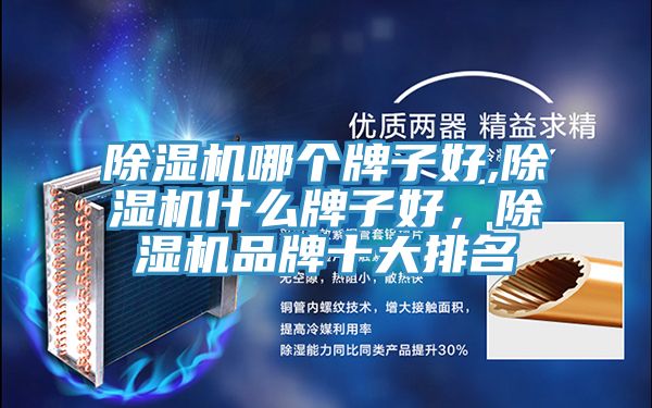 91香蕉视频下载网站哪个牌子好,91香蕉视频下载网站什么牌子好，91香蕉视频下载网站品牌十大排名
