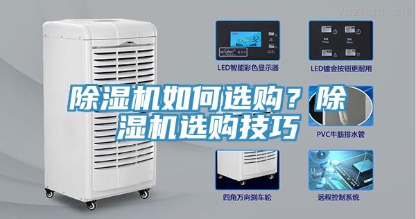 91香蕉视频下载网站如何选购？91香蕉视频下载网站选购技巧