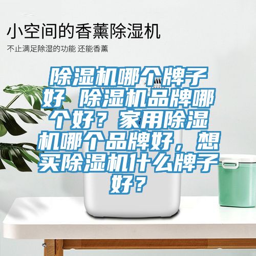91香蕉视频下载网站哪个牌子好 91香蕉视频下载网站品牌哪个好？家用91香蕉视频下载网站哪个品牌好，想买91香蕉视频下载网站什么牌子好？