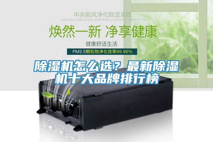 91香蕉视频下载网站怎么选？最新91香蕉视频下载网站十大品牌排行榜