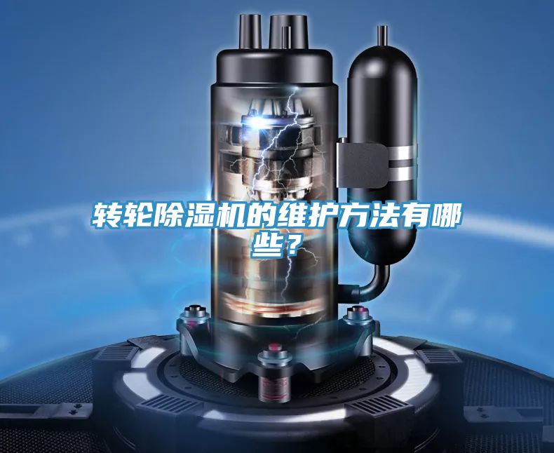 转轮91香蕉视频下载网站的维护方法有哪些？