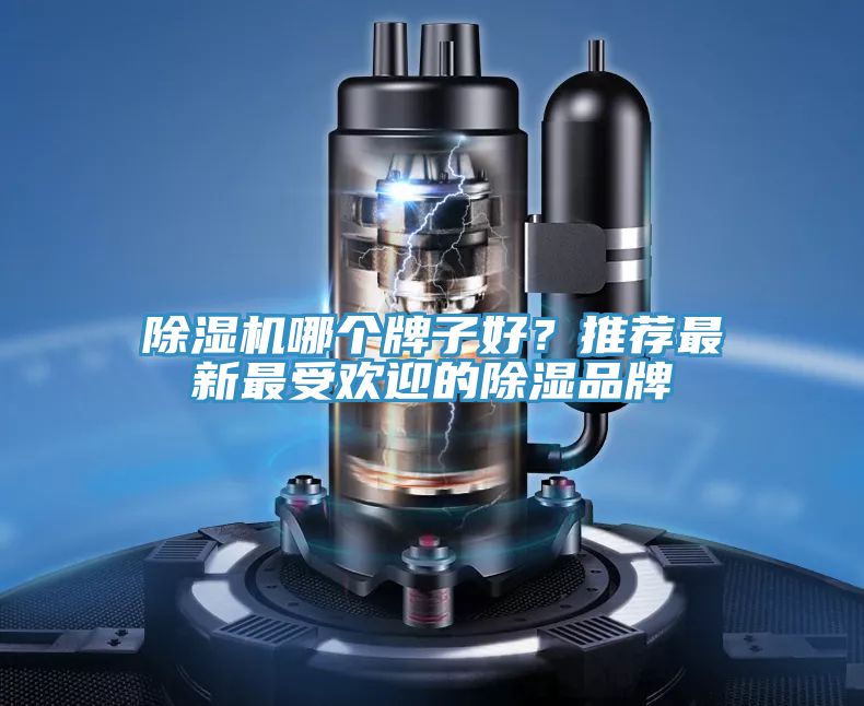 91香蕉视频下载网站哪个牌子好？推荐最新最受欢迎的除湿品牌