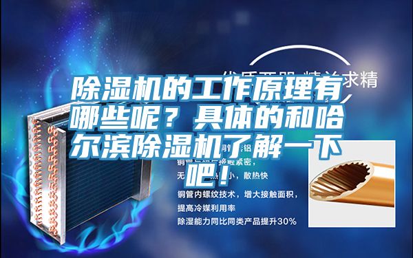 91香蕉视频下载网站的工作原理有哪些呢？具体的和哈尔滨91香蕉视频下载网站了解一下吧！