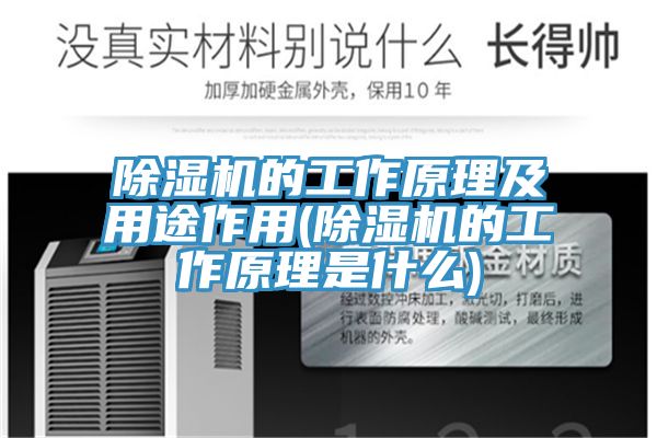 91香蕉视频下载网站的工作原理及用途作用(91香蕉视频下载网站的工作原理是什么)