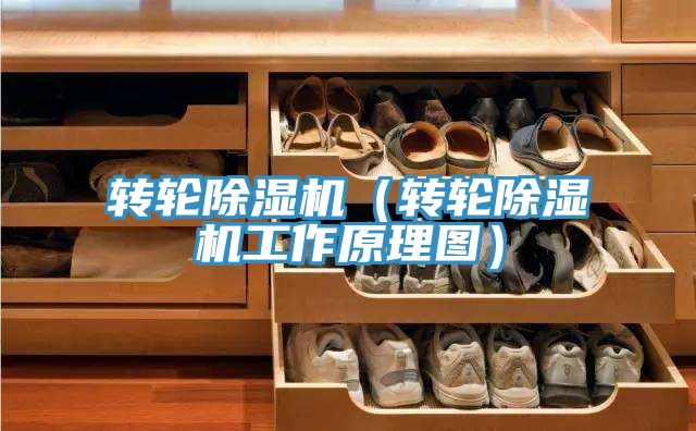 转轮91香蕉视频下载网站（转轮91香蕉视频下载网站工作原理图）