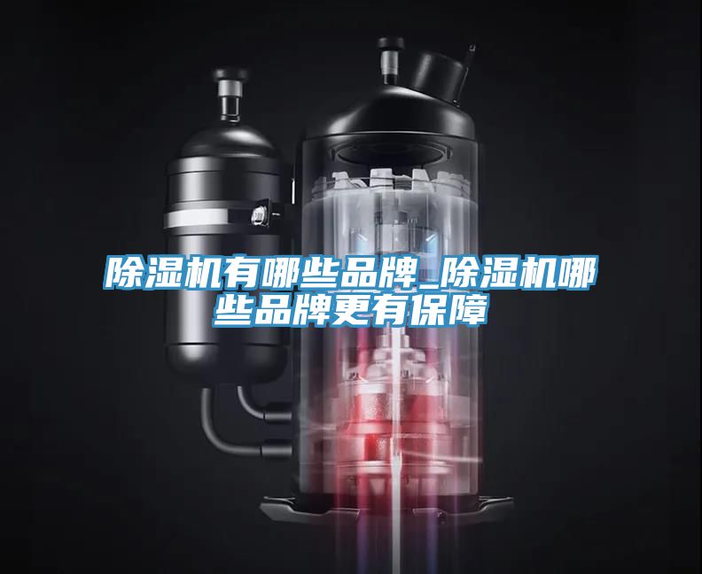 91香蕉视频下载网站有哪些品牌_91香蕉视频下载网站哪些品牌更有保障