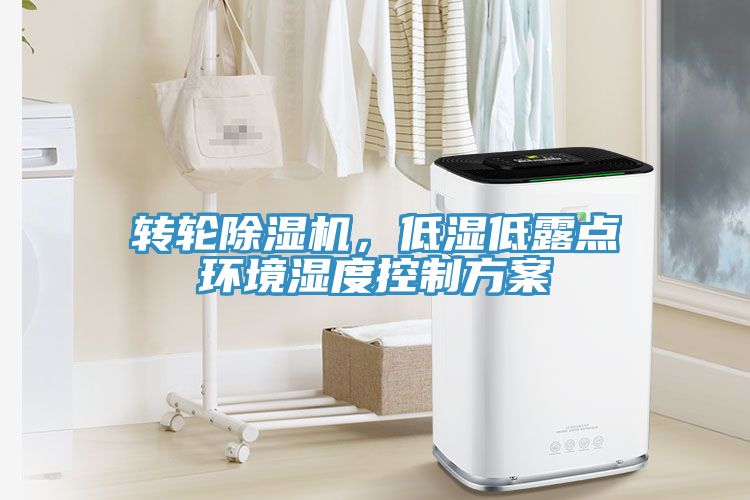 转轮91香蕉视频下载网站，低湿低露点环境湿度控制方案