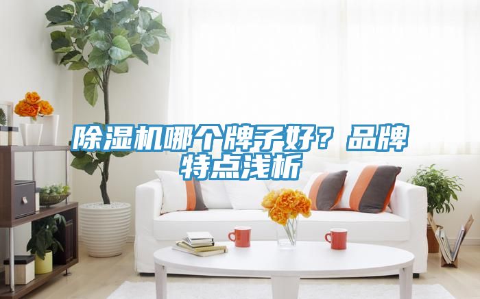 91香蕉视频下载网站哪个牌子好？品牌特点浅析