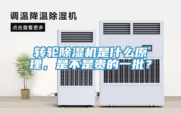转轮91香蕉视频下载网站是什么原理，是不是贵的一批？
