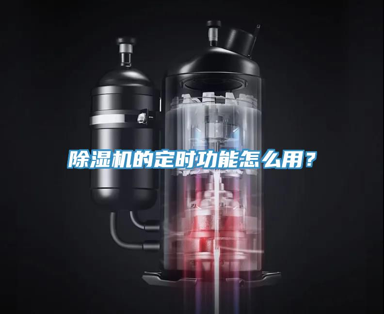91香蕉视频下载网站的定时功能怎么用？